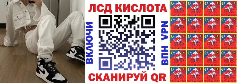 где продают наркотики  кракен зеркало  Наркотические марки 1,8мг  Махачкала 