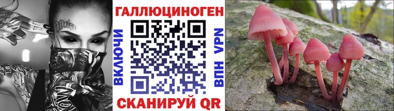 Галлюциногенные грибы Magic Shrooms  где купить наркотик  Махачкала 